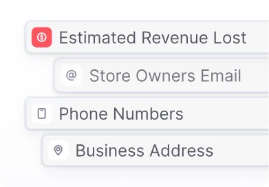 Infringer report: estimated revenue lost, store owner email, phone numbers, business address
